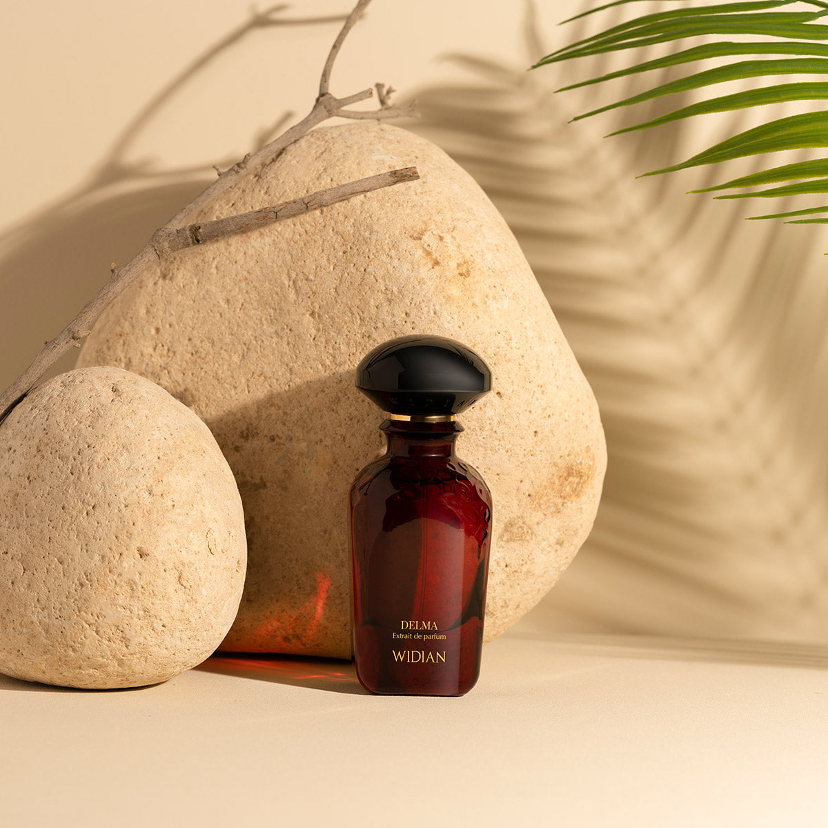 DELMA - WIDIAN - Passion Parfum Project