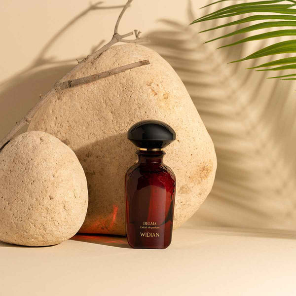 DELMA - WIDIAN