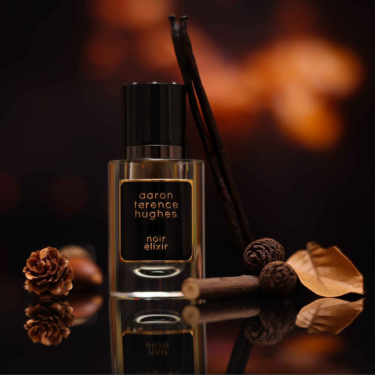 Noir Elixir huile de parfum Aaron Terence Hughes