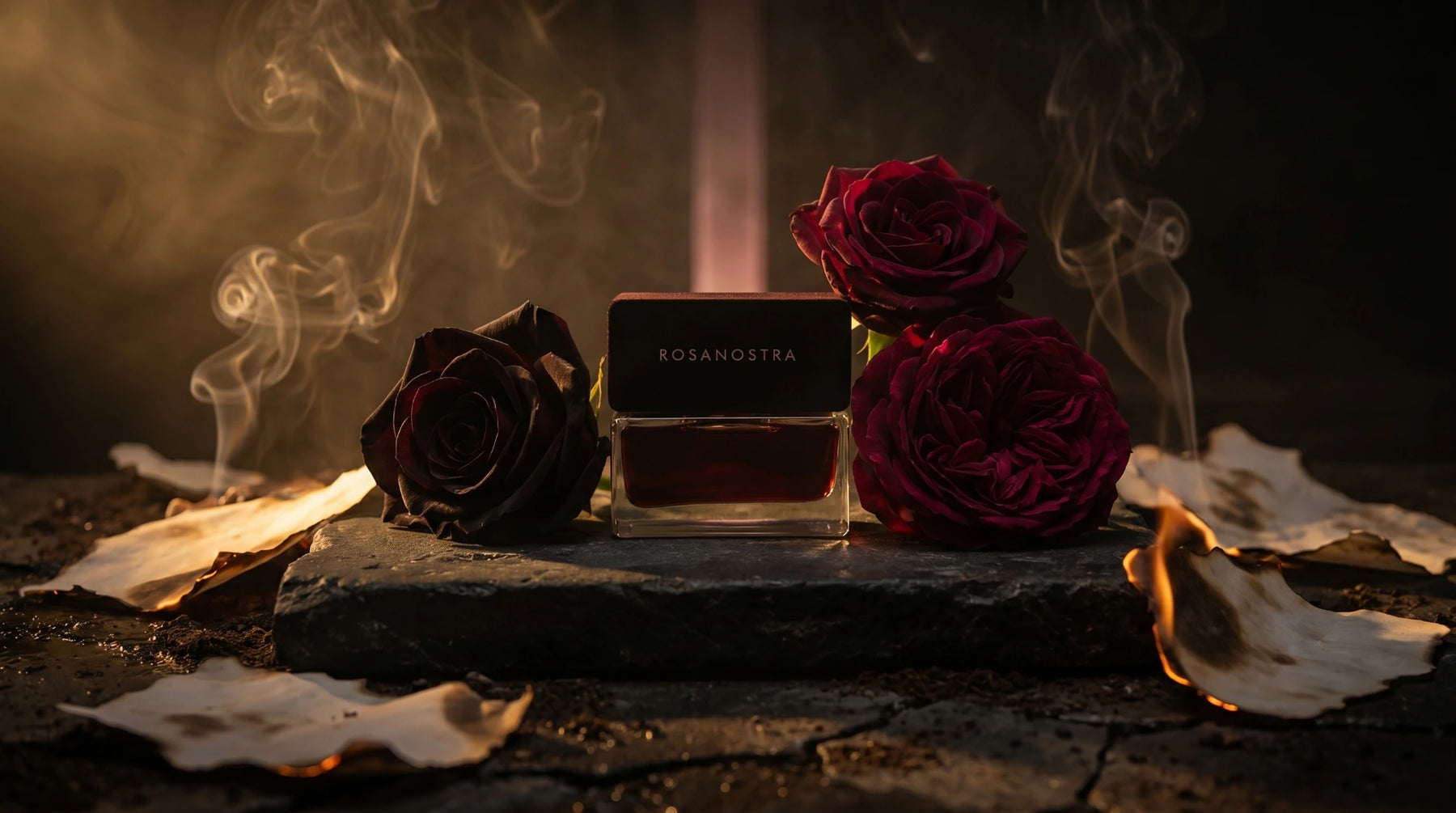 Rosanostra - La rose la plus sombre
